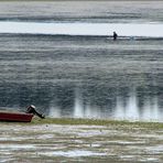 Low Tide ..... Fishing for ????