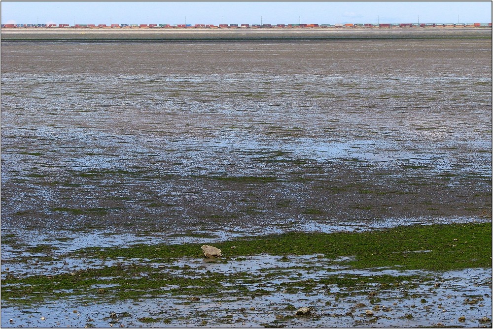 Low Tide ..... Freight Train at Tsawwassen