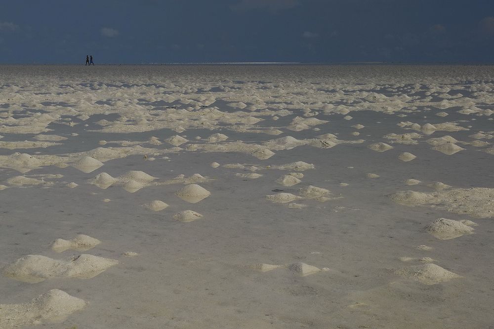 Low Tide - Leben mit dem Meer