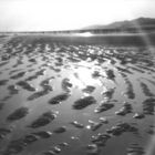 Low tide (Pinhole)