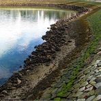 Low Tide ......  Vancouver's False Creek