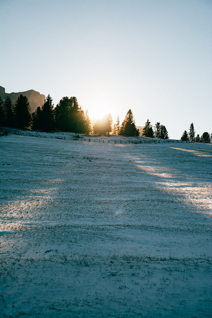 Low Winter Sun