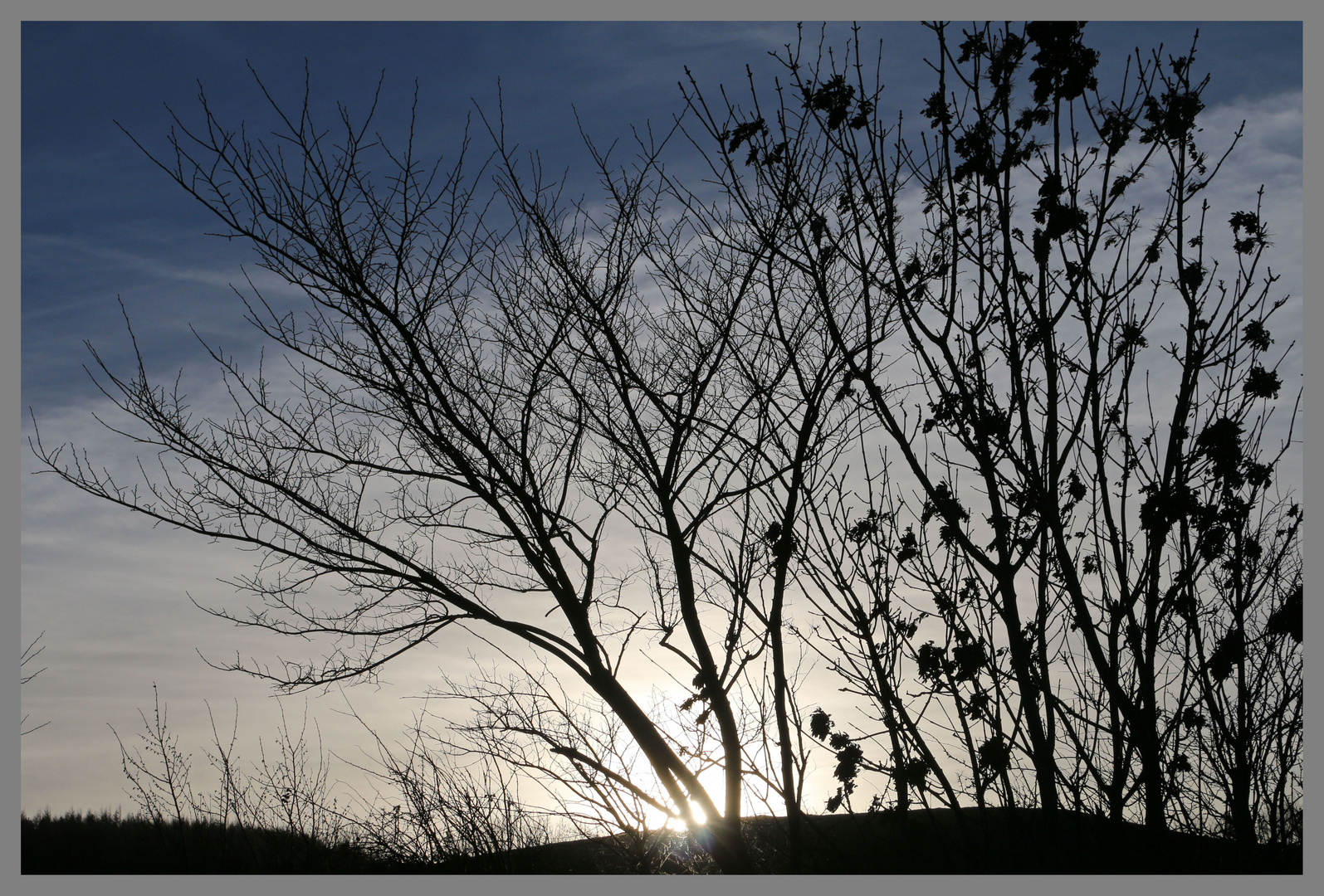 low winter sun near great tosson 4c