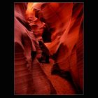 Lower Antelope