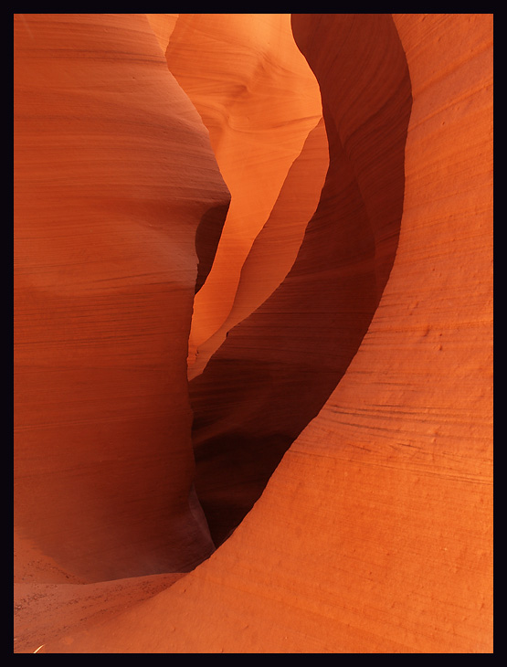 lower antelope