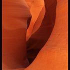 lower antelope