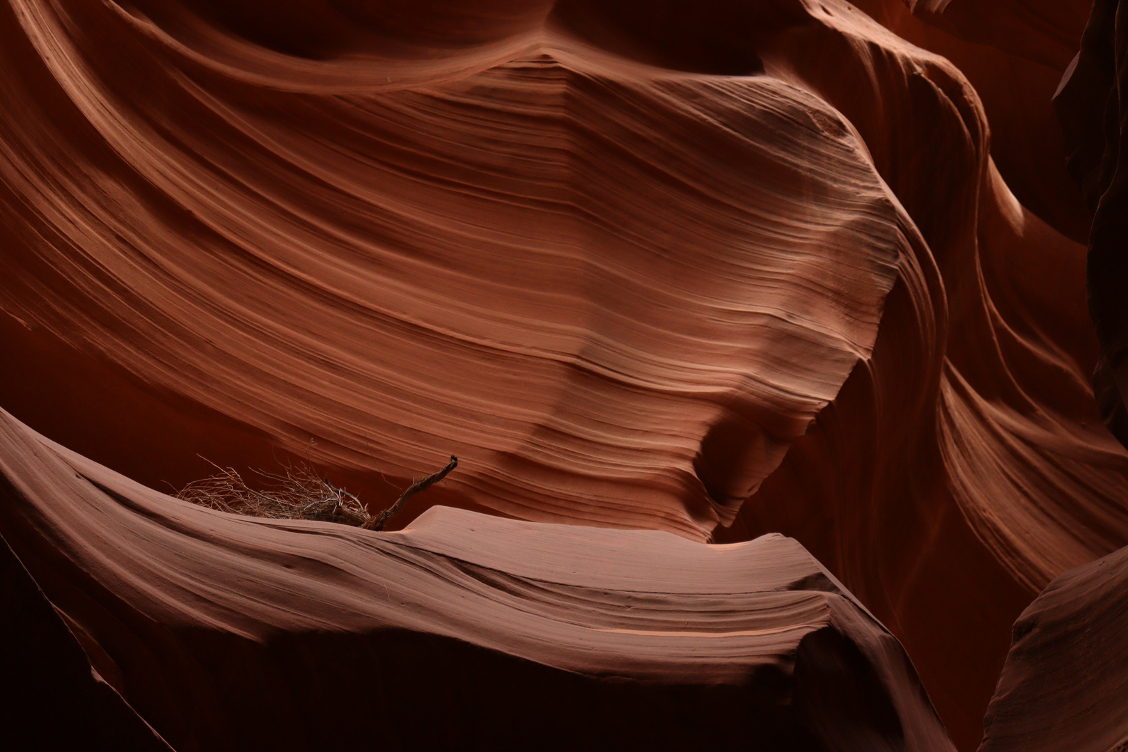 Lower Antelope Canyon