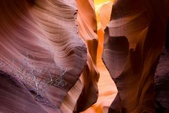 Lower Antelope Canyon