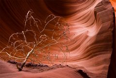 Lower Antelope Canyon