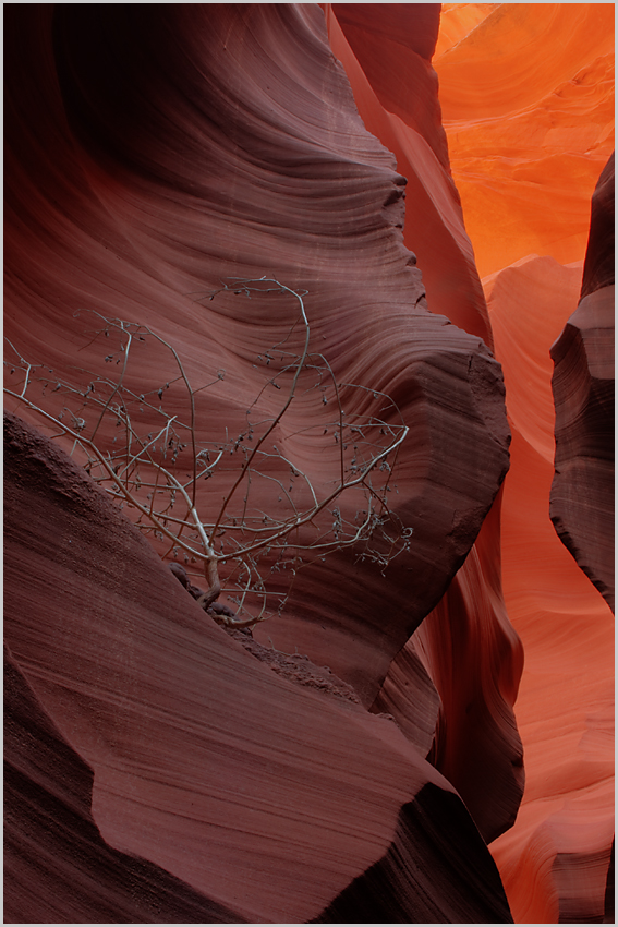 Lower Antelope Canyon