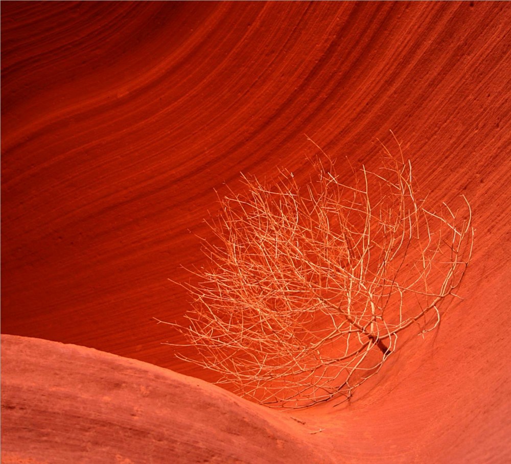 Lower Antelope Canyon