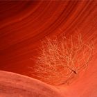 Lower Antelope Canyon