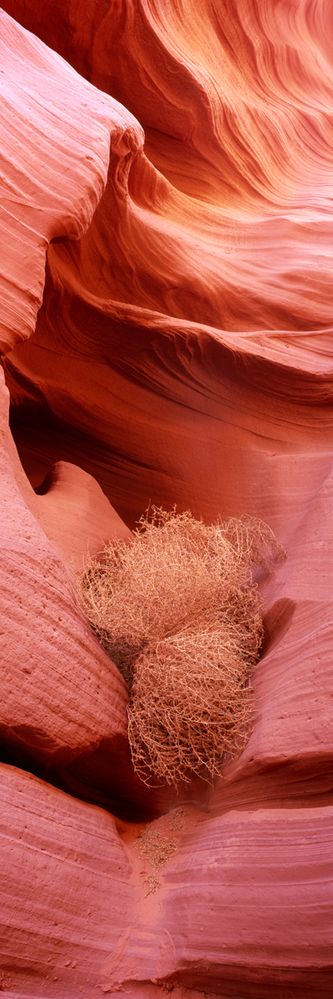 Lower Antelope Canyon (II)