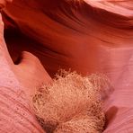 Lower Antelope Canyon (II)