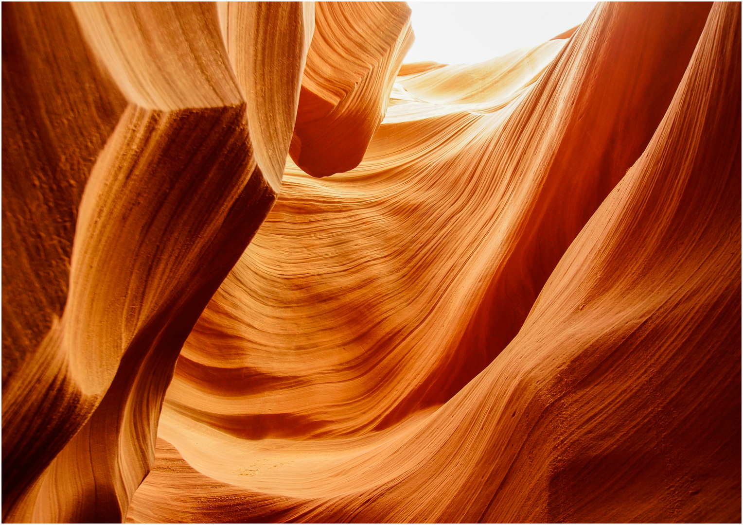 Lower Antelope