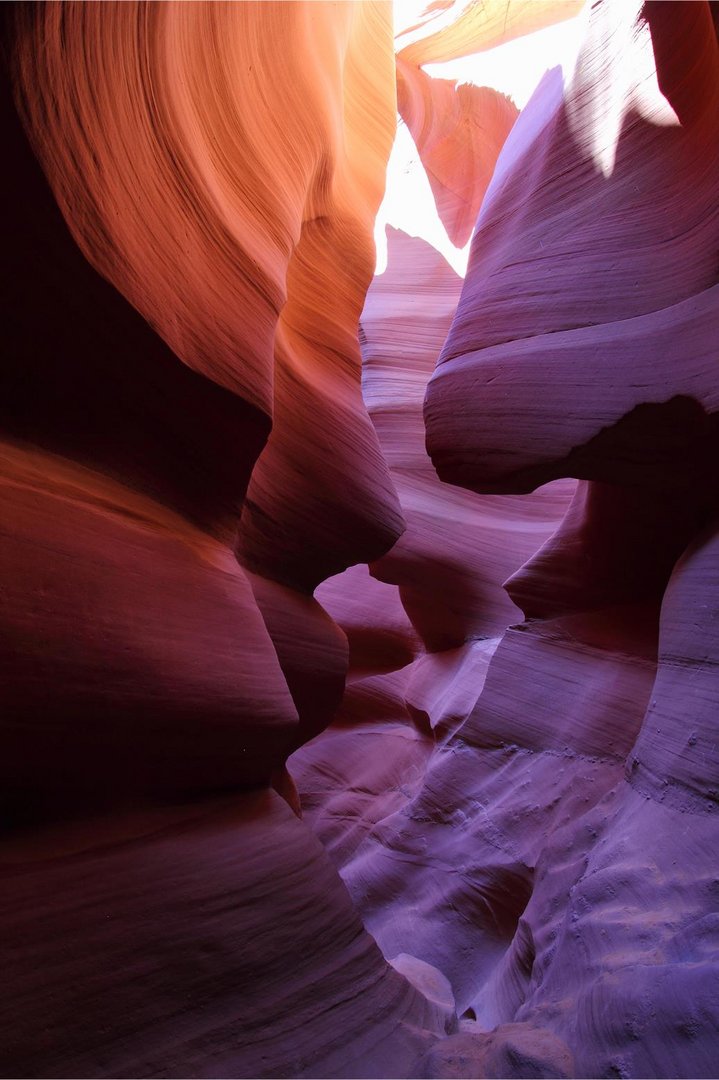 Lower Antelope