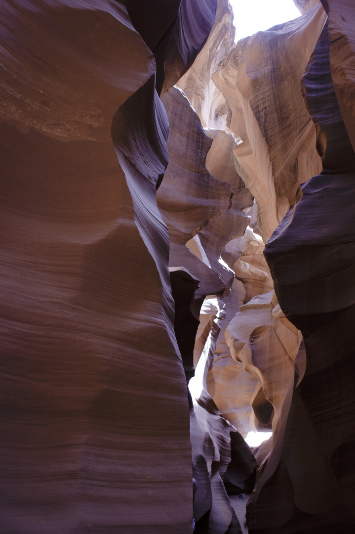 Lower Antilope Canyon , Page, Arizona, USA