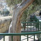 Lower Baracca Gardens  (Valletta/Malta)