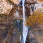 Lower Calf Creek Falls