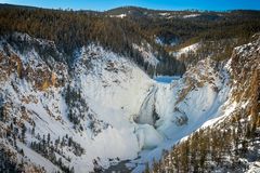 Lower Falls im Yellowstone 