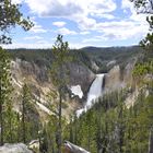 Lower Falls im Yellowstone National Park