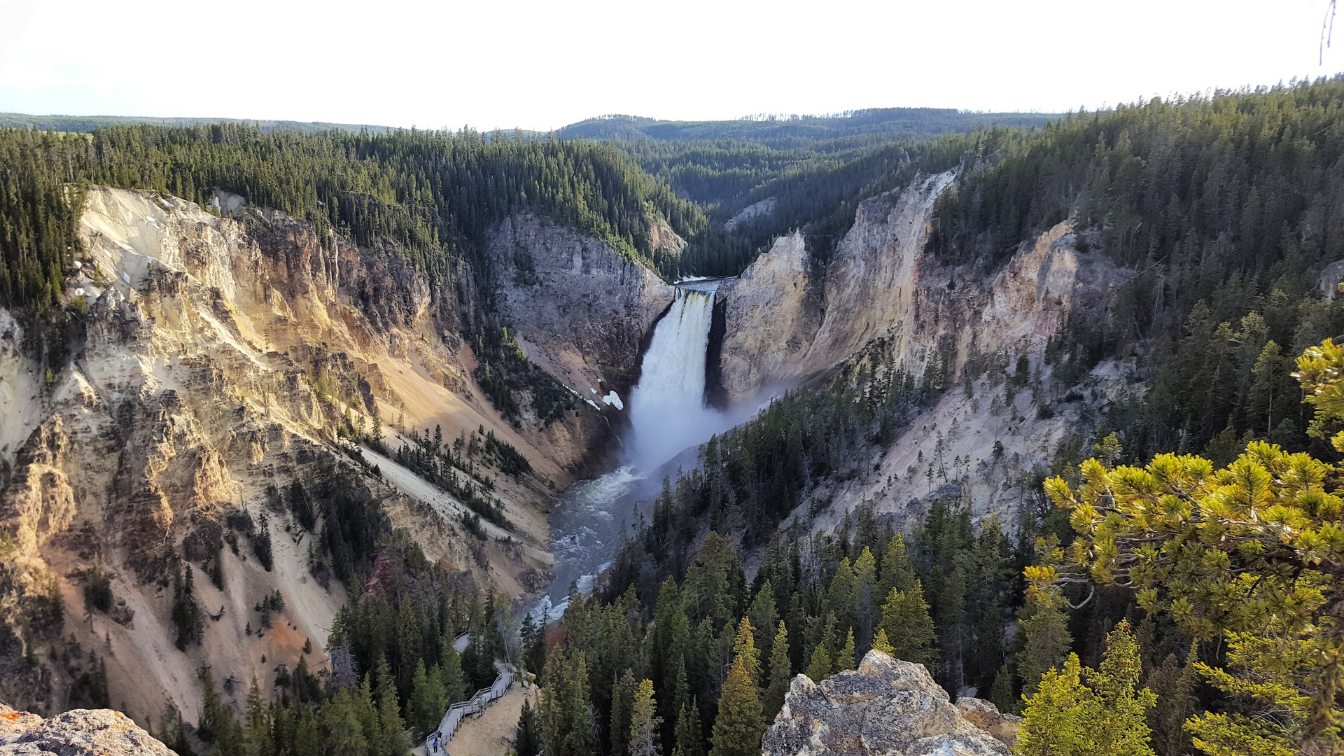 Lower Falls of the Yellowstone