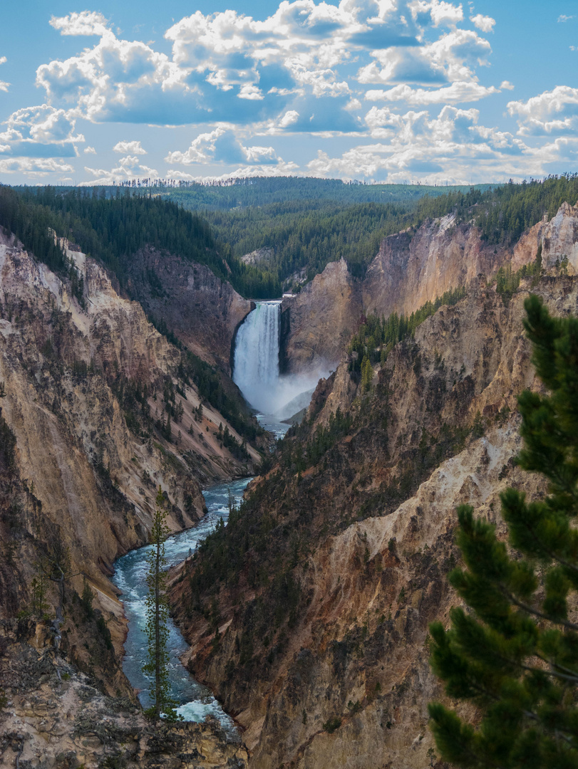 Lower Falls vom Artist Point, Yellowstone NP