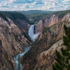 Lower Falls vom Artist Point, Yellowstone NP