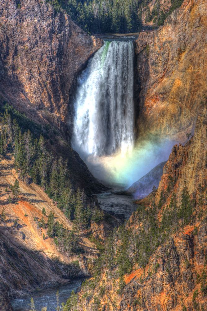 Lower Falls @ Yellowstone