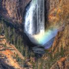 Lower Falls @ Yellowstone