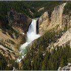 Lower Falls, Yellowstone NP