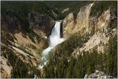 Lower Falls, Yellowstone NP