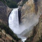 Lower Falls / Yellowstone NP