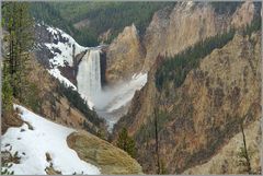 Lower Falls Yellowstoneriver