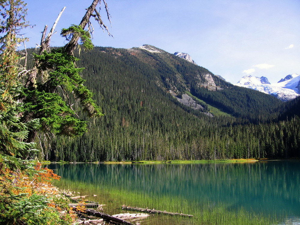 Lower Joffre Lake in British Columbia / CAN