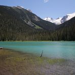 Lower Joffre Lake - Joffre Provincial Park / Coastal Mountains B.C.