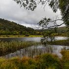 Lower Lake Glendalough