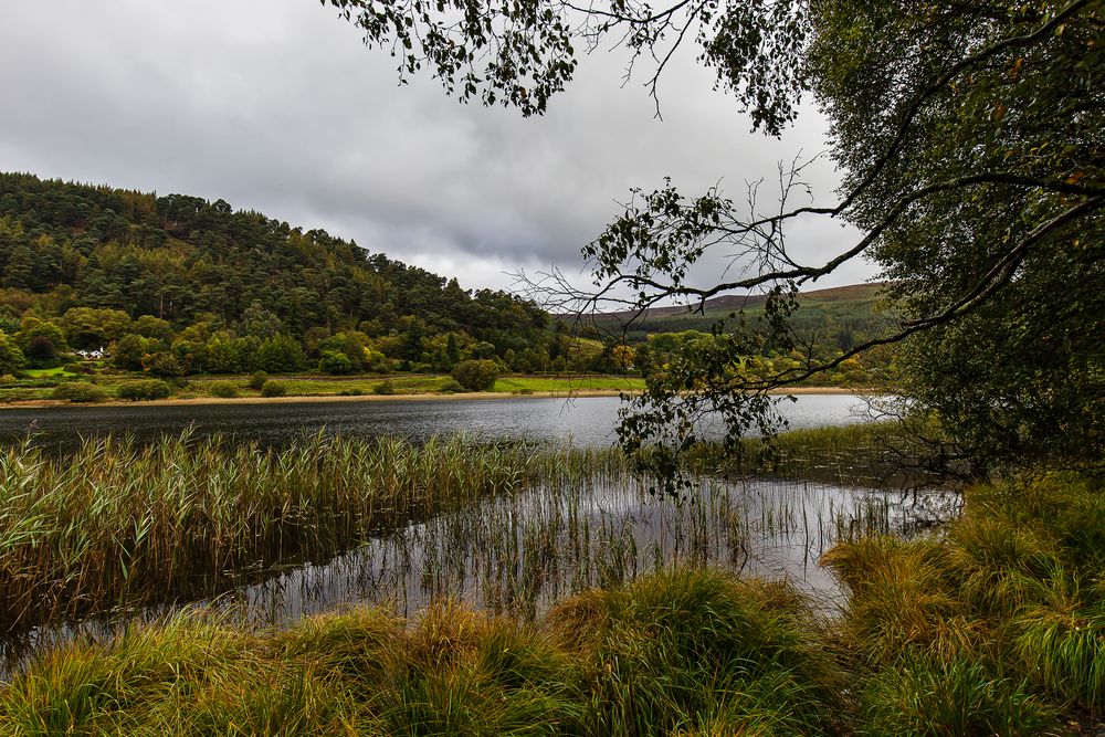 Lower Lake Glendalough