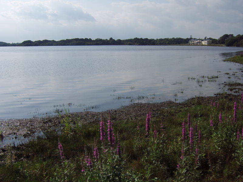 Lower Lake in Eire (the most beautiful place in the world)