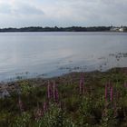 Lower Lake in Eire (the most beautiful place in the world)