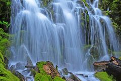 Lower Proxy Falls