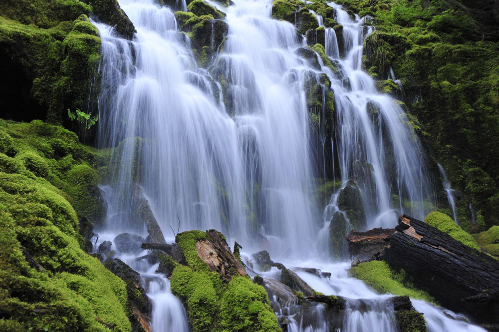 Lower Proxy Falls next to the 242