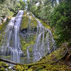 Lower Proxy Falls - Oregon