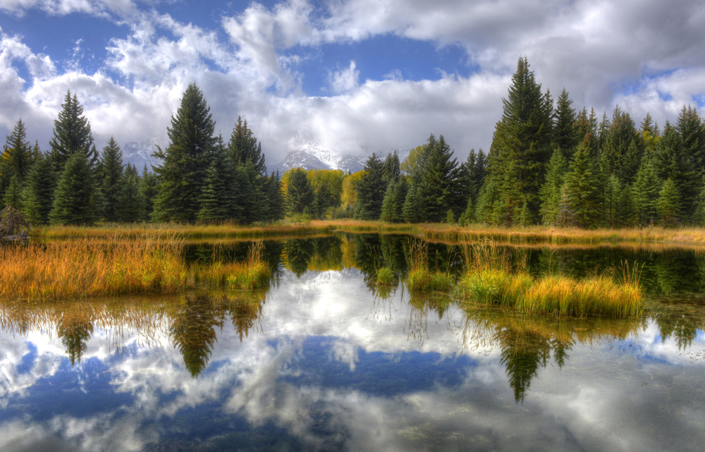 Lower Schwabacher's Landing