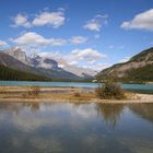 Lower Waterfowl Lake