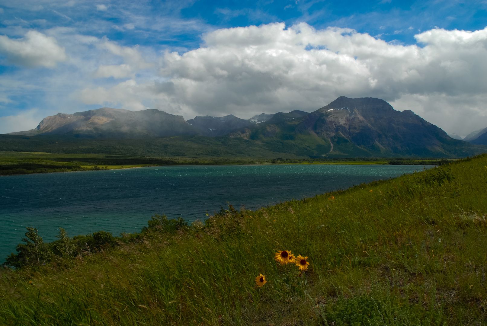 Lower Waterton Lake