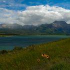 Lower Waterton Lake