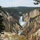 Lower Yellowstone Fall...