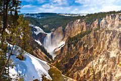 Lower Yellowstone Falls