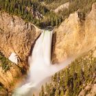 Lower Yellowstone Falls